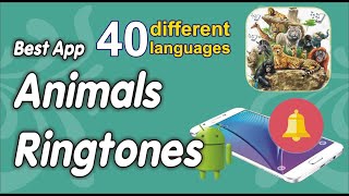 Best App Animals Ringtones Android screenshot 4