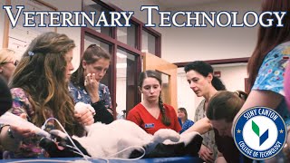 Famous Veterinary Technology Programs at SUNY Canton Profile
