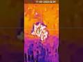 Il re non aveva intenzione di fermarsi #thermal #wildboarhunting #hunting