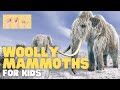 Woolly Mammoths: Facts and Trivia