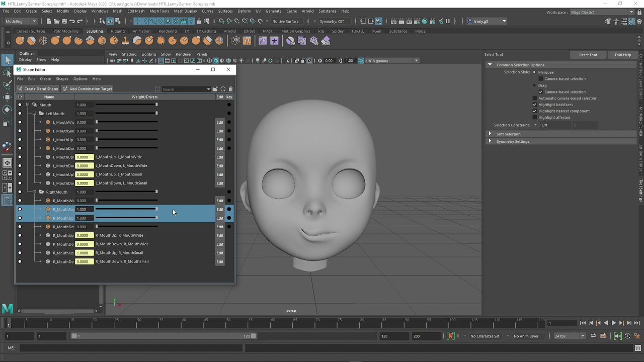 FacialRig   BlendShapes