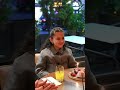 Authentic Turkish Dining at Antalya Restaurant Russell Square London