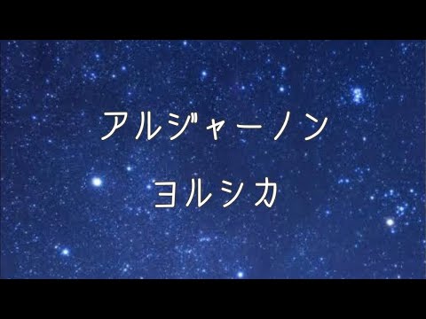 【ライブ音響】ヨルシカ-アルジャーノン