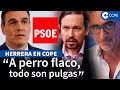 Herrera lanza una advertencia a Sánchez y el futuro del PSOE: "Le puede pasar lo mismo"