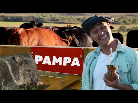 Pampa | Biomas do Brasil | Ep.4