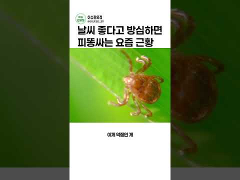 날씨 좋다고 소풍 갔다가 억까 당하는 이유 ㄷㄷ