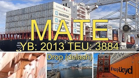 Lashing Containers -Mate - Drop/delash - Longshoreman work