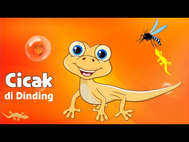 CICAK Cicak di Dinding | Lagu Cicak Cicak di dinding | Lagu anak anak indonesia class=