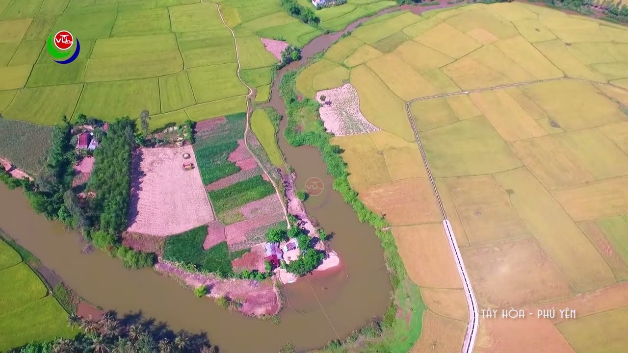 Cánh đồng lúa Tây Hòa, Phú Yên nhìn từ trên cao qua ca khúc: Tiếng Hò Trên Đồng Lúa Tuy Hòa