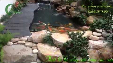 Thiết kế thi công hồ koi sân vườn