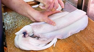 Japanese Street Food  GIANT SQUID Fried Calamari Sashimi Okinawa Seafood Japan