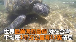 世界最美「海龜島嶼」在台灣1平方公里有13隻棲息