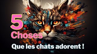 5 Choses que les Chats Adorent