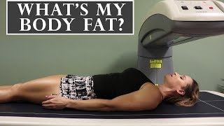 Testing My Body Fat | Dexa Scan Results | How To Track Progress Profile
