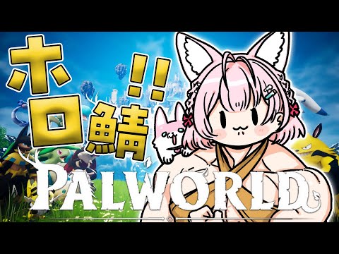 【パルワールド】ホロ鯖！全マップ開けたい冒険へレッツゴー！！！✊✨【博衣こより/ホロライブ】