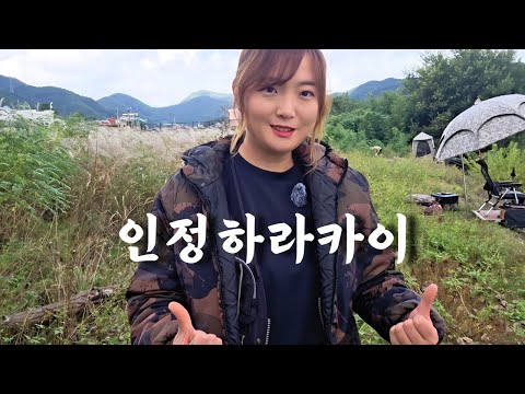 붕어낚시꾼 나래붕어 인정하라카이