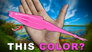 I Cant Believe Bass Crush This Color...