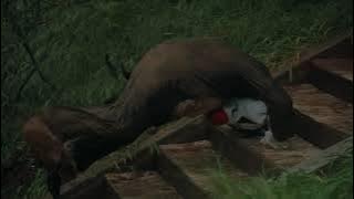 Hanni El Khatib - ALIVE (Official Video)