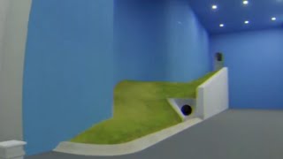 RockLeeSmile Plays - Disminal