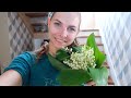 vlog 🌱появились КОМАРЫ / НЕОЖИДАННЫЙ БУКЕТ / доделываем ГАРДЕРОБ / ДОМАШНЕЕ ПЕЧЕНЬЕ