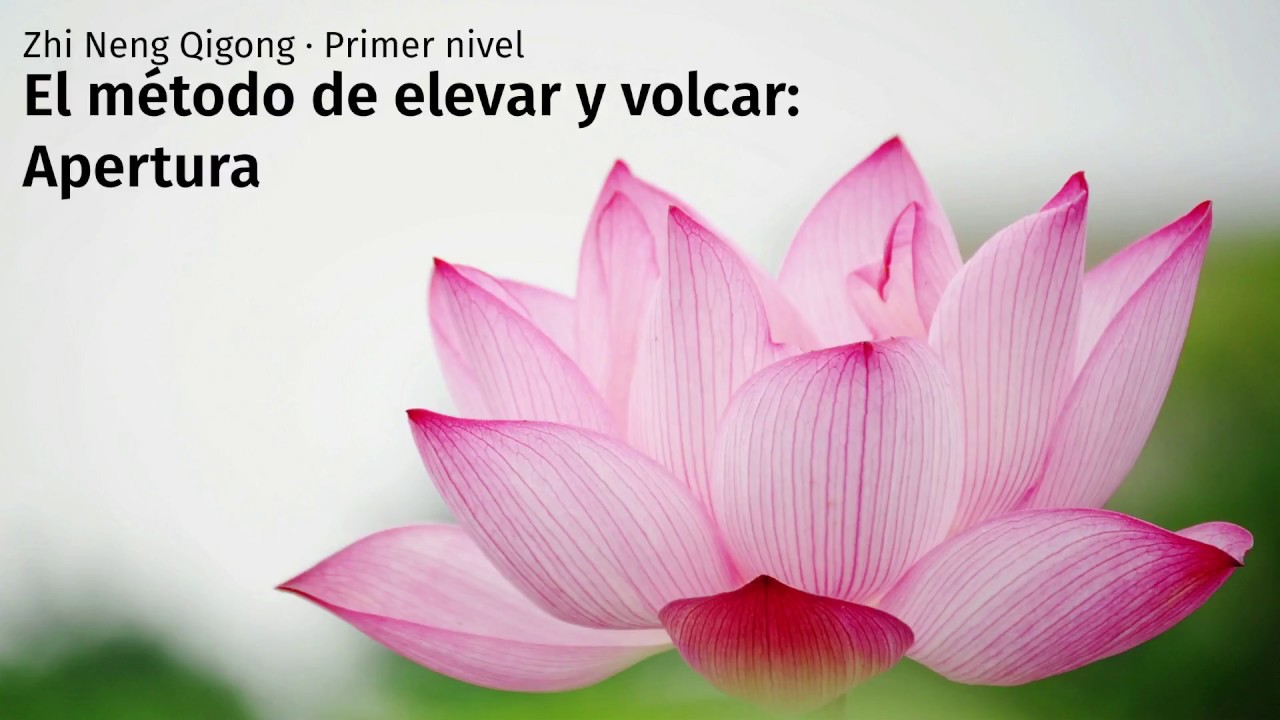 Practica - El Metodo de Elevar y Volcar - 04. Apertura qiyana