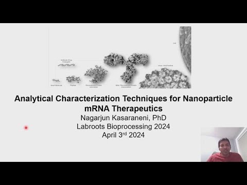 Analytical Characterization Techniques for Nanoparticle mRNA Therapeutics