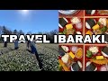 TRAVEL IBARAKI KOGA Farm to picnic tour