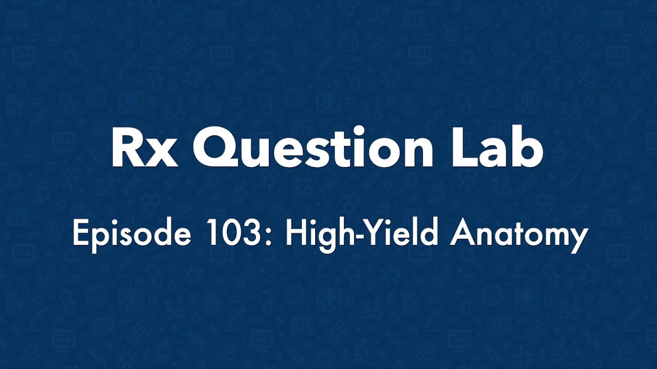 Rx Question Lab HighYield Anatomy YouTube