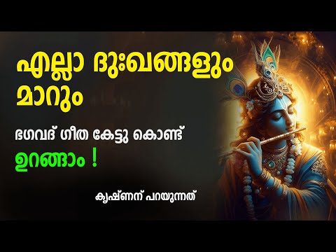രാത്രി കേൾക്കേണ്ട കൃഷ്ണവാക്കുകൾ എല്ലാ ദുഃഖങ്ങളും  മാറും | BhagavadGita Malayalam