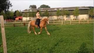 STORM FLATWORK ** FOR SALE***