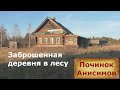 Деревни в глубинке России. Заброшенная деревня в лесу. Покинутые дома. Дом охотника.