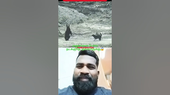 எங்க ஏரியா உள்ள வராதே😆#viralvideo#viralshort#trending#trend#ytshorts#ytstudio#memes#reels#beard#dog