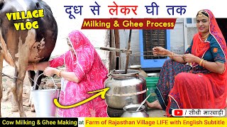 Milking Cow Village Life | गाँव में गाय का दूध निकालने से लेकर दही मक्खन और घी बनाने का तरीका | Vlog