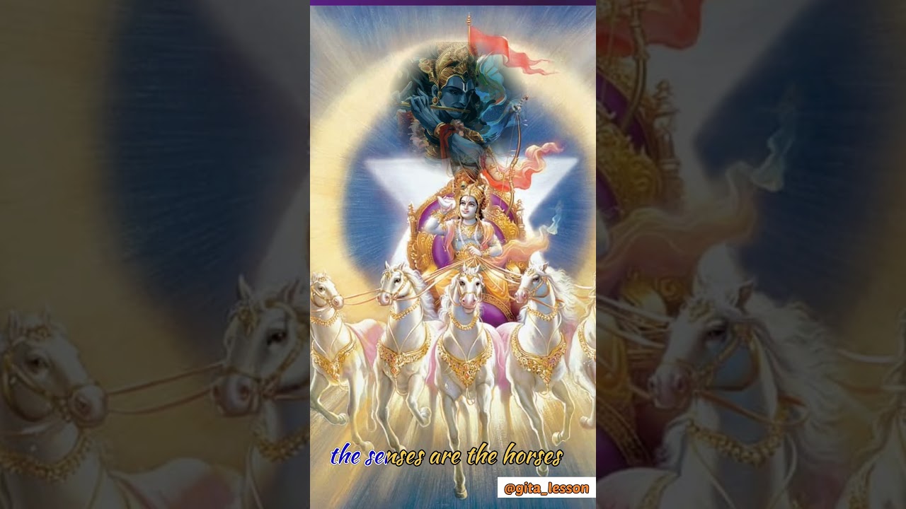 The Chariot of Life: Understanding the Soul, Intellect, Mind, and Senses 