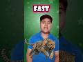 Fast,Big,Slow,#shorts
