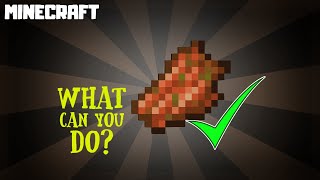 What Can You Do With ROTTEN FLESH? | MINECRAFT