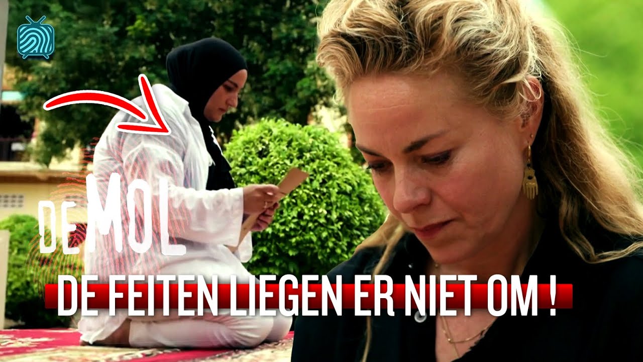 🔥De Cijfers & De Feiten Liegen Niet ! | NIET DE MOL #1 | WIDM Seizoen