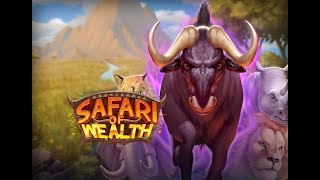 Safari of Wealth - JollySlot 🃏 screenshot 1