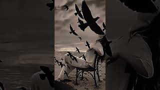 Söz Müzik Cahide Güzergah. Hiç Mi Özlemedin Telif Hakkı Vardır