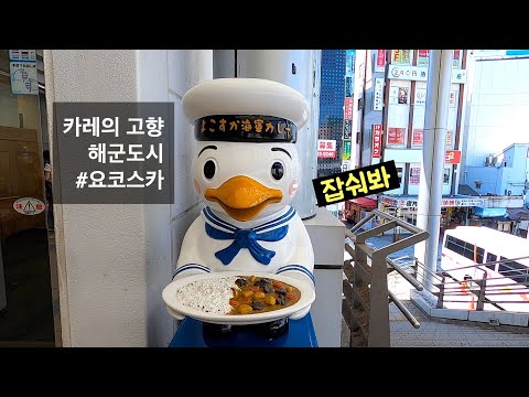 🇯🇵 일본여행 | 미국 해군기지, 일본식 카레의 기원 요코스카 (해군카레, 미카사, 도쿄근교, 쓰나미, 스카레, 세계평화)