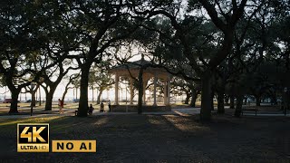White Point Garden, Charleston SC | 2 Hours of 4K Daytime Ambience & Lo-Fi (No AI)
