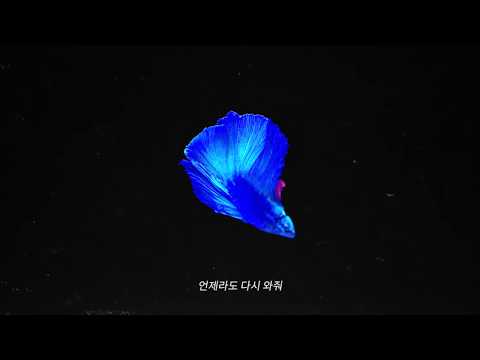 msftz(미스피츠) '나는 요즘(Latest Conversation)' Official Lyric Video