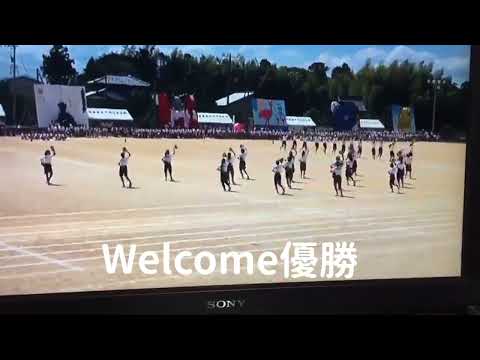 高校体育祭　女子マスゲーム　2017