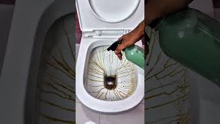 Cleaning Ladies Secret Trick And It Costs Less Than A Dollar