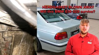 BMW E39 HEADGASKET BLOWN AWAY! Will this BMW E39 532i survive?