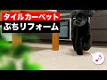 犬のためのDIY｜日本製の 東リ 吸着式タイルカーペットが超オススメ♪【1年レビュー】