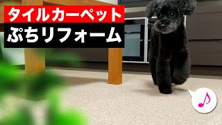 日本製の 東リ 吸着式タイルカーペットが、ペットや子供のいる家庭に超オススメ!DIY【1年レビュー】 日本製の 東リ 吸着式タイルカーペットが、ペットや子供のいる家庭に超オススメ!DIY【1年レビュー】
