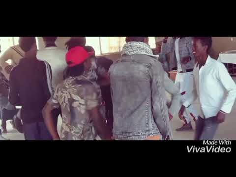 Ashuu Baqqalaa New Oromo Music2022 Afran Youtube Subscribe