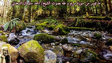 ما تيسر من سورة مريم وطه "صدى"بصوت الشيخ/ احمد سليمان السعدني