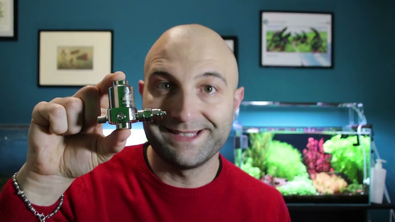 Il kit co2 per le piante esigenti. Cosa trovi e cosa ti serve dentro la scatola Whimar?